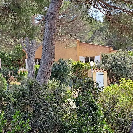 Bastide Presqu Ile De Giens Superbe Vue Piscine イエール